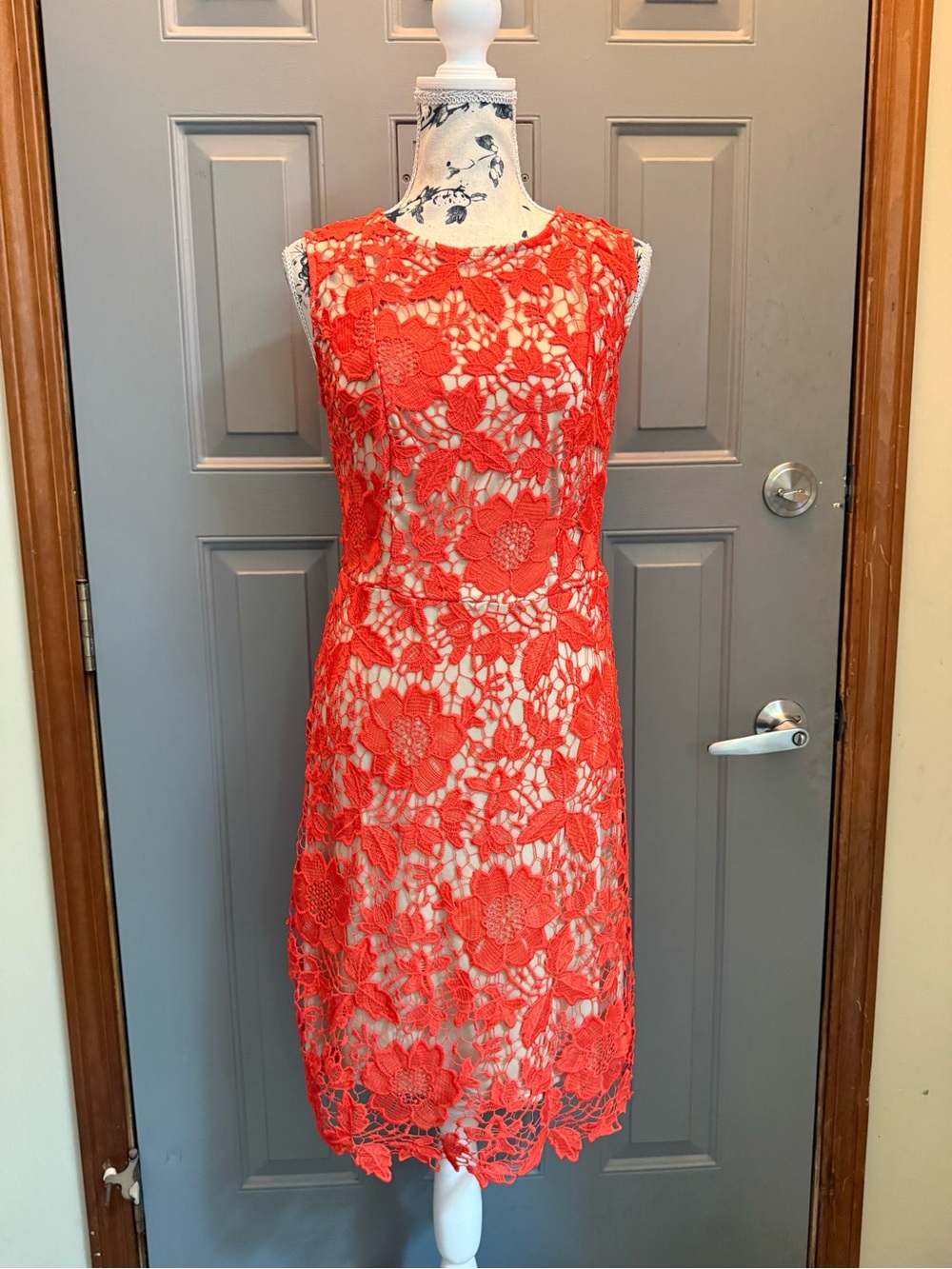 New York & Company Orange/Coral Lace Dress (6) Sheath Floral Crochet